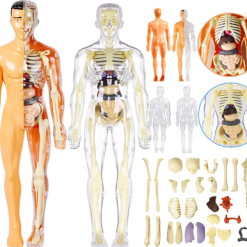 Junior Scientist Experiment Kit